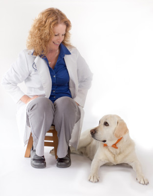 Dr Erin Troy Walnut Creek