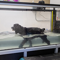 Modalities hydrotherapy